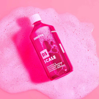 DS SCALE Solutie decontaminare calcar INNOVACAR 1000 ml